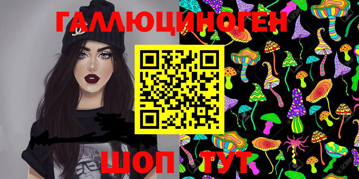 Галлюциногенные грибы Psilocybe Димитровград