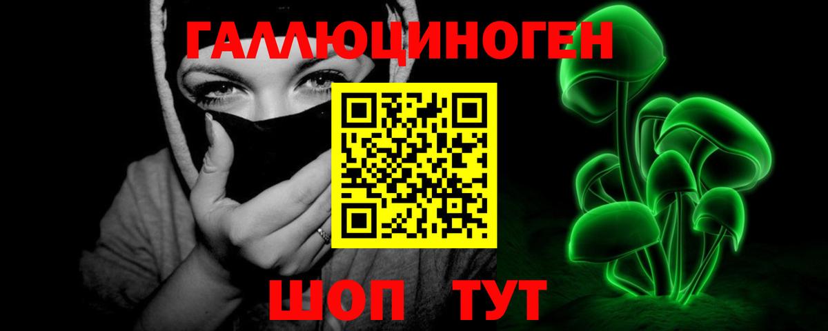 Димитровград  купить закладку  Вход с VPN  Галлюциногенные грибы Psilocybe 