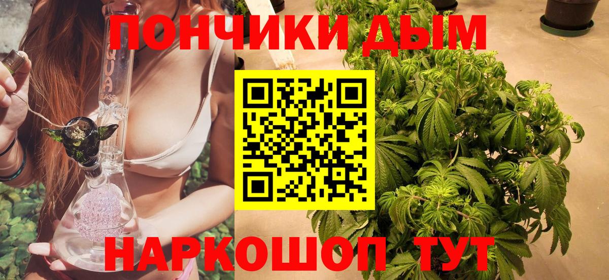 Каннабис SATIVA & INDICA Димитровград